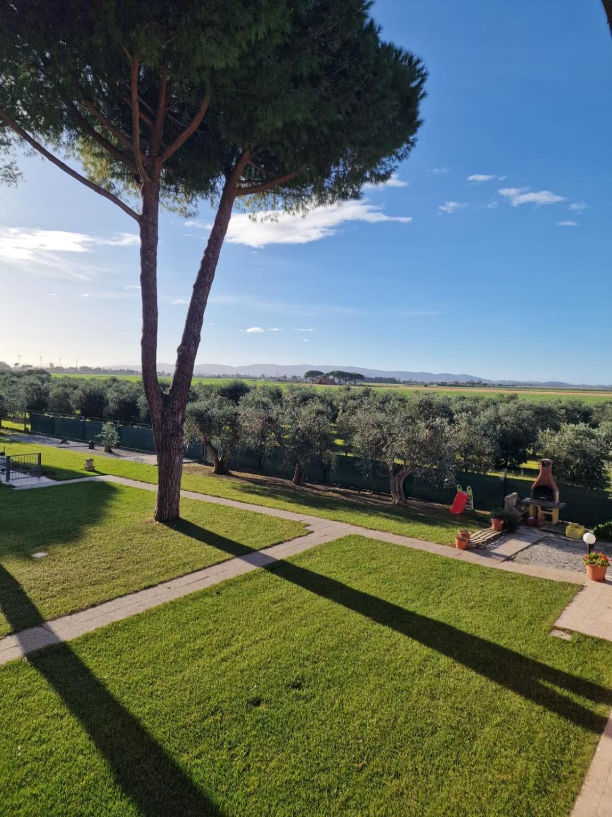 Agriturismo Nonno Gino - Charme&Relax Piombino Kültér fotó