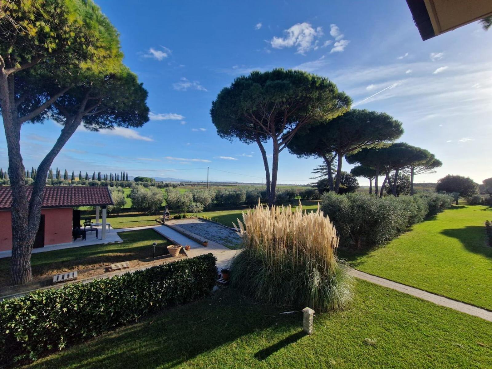 Agriturismo Nonno Gino - Charme&Relax Piombino Kültér fotó