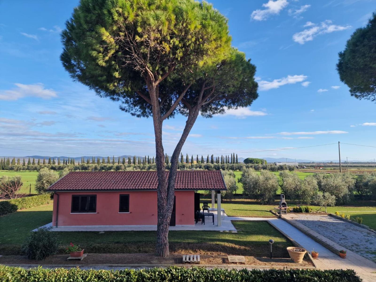 Agriturismo Nonno Gino - Charme&Relax Piombino Kültér fotó